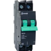 Schenker 63A samite 2p main switch